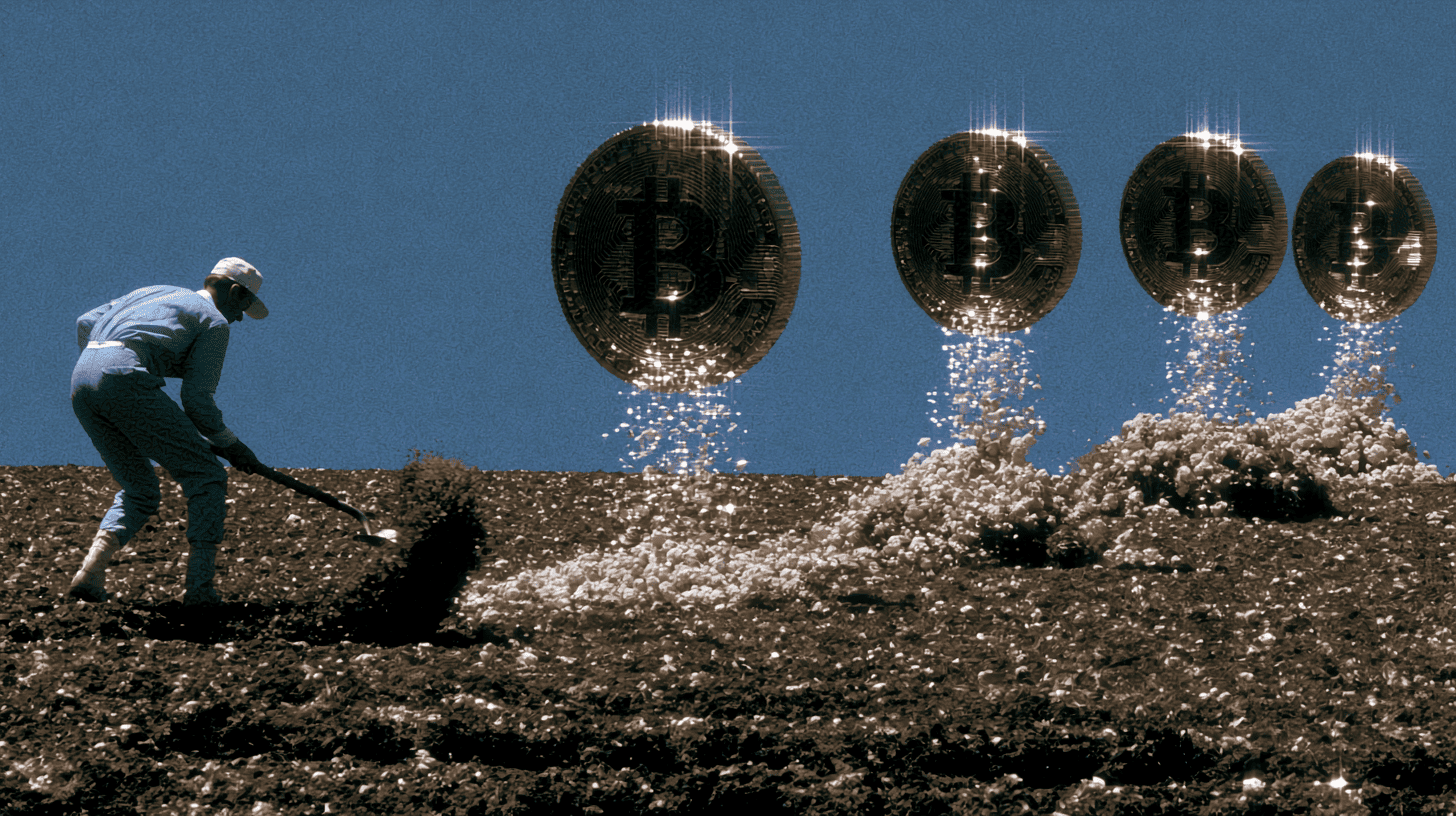 Tokens growing as crops in a digital field, representing yield farming rewards from liquidity provision.